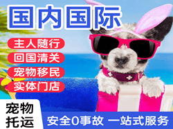 阿里普兰航空运输国际宠物托运 【国