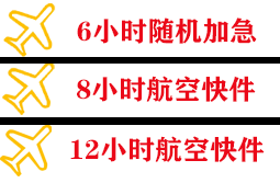 阿里普兰航空运输快递公司,专业空运当天件